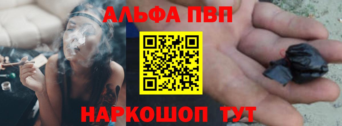 Alfa_PVP СК Нарткала