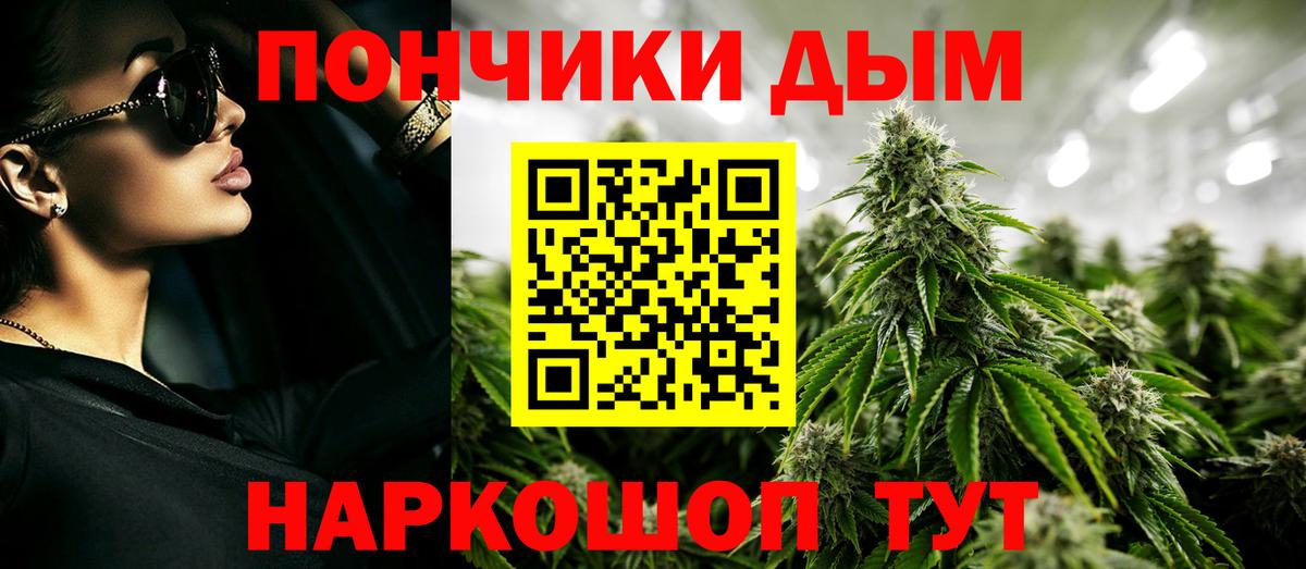 Бошки марихуана план  Вход с VPN  Нарткала  Каннабис план  Бошки Шишки тримм  Шишки марихуана сатива 